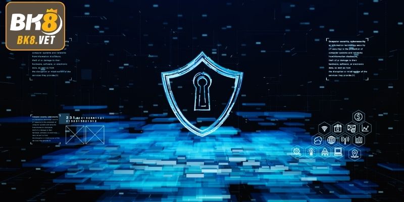 Các nguyên tắc cốt lõi trong quyền riêng tư tại BK8