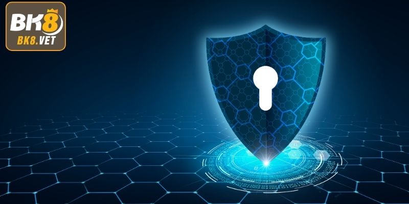 Tổng quan về quyền riêng tư tại BK8